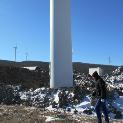 通用與上海同瑞