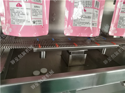 全自动液体果汁包装机灌装机210GS