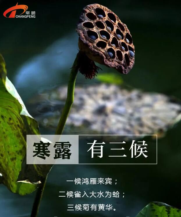 今日寒露|上海常鹏桥架温馨提示：注意防寒保暖