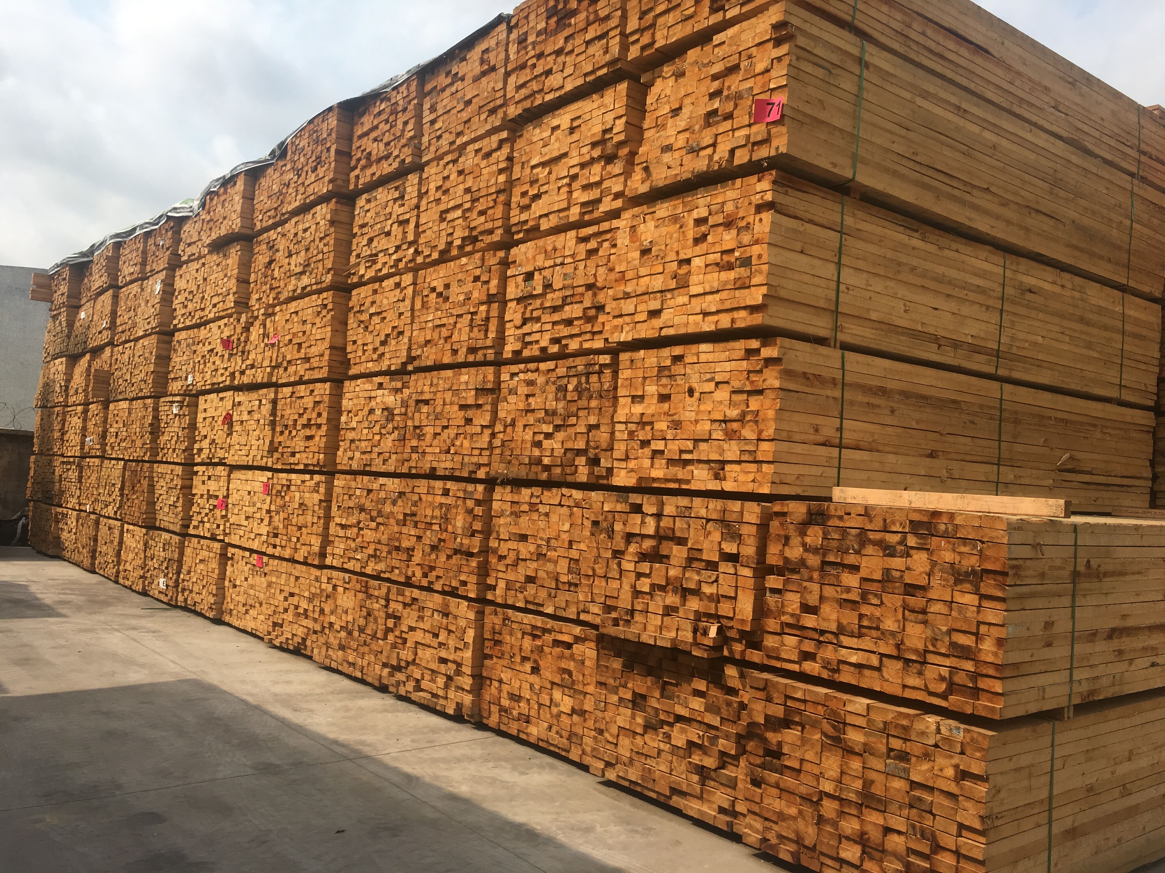 供应金丝楠木进口金丝楠木板材原木 名贵木材小叶桢楠木-阿里巴巴