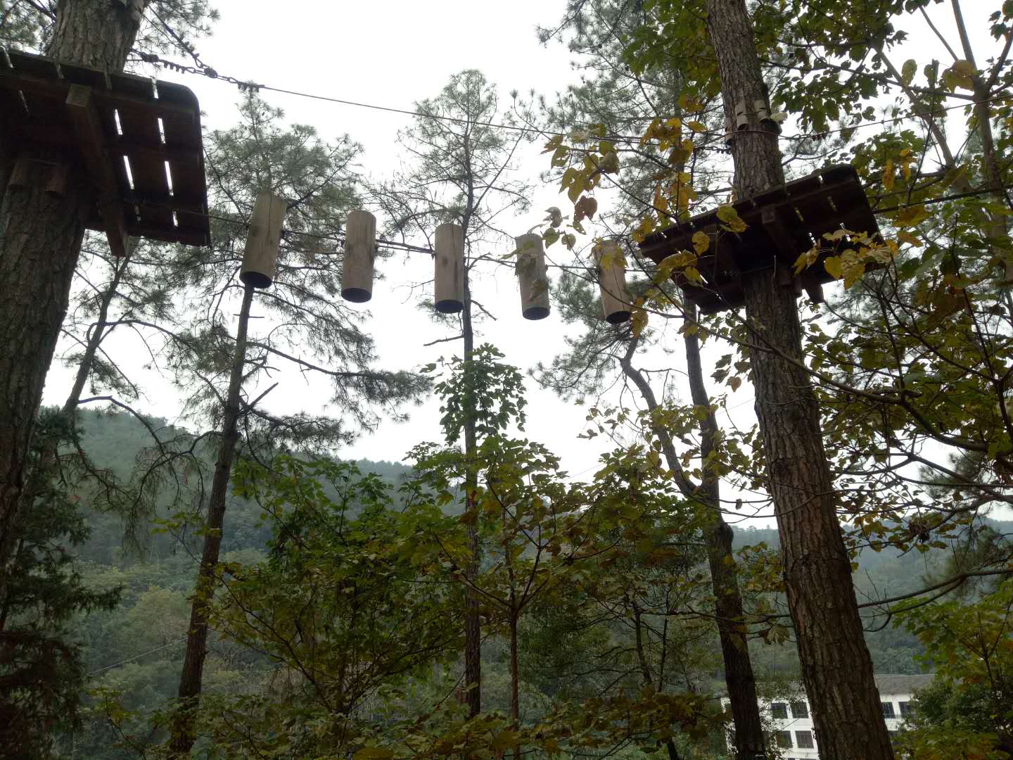 你們的腦海中叢林穿越是什么樣子的呢？