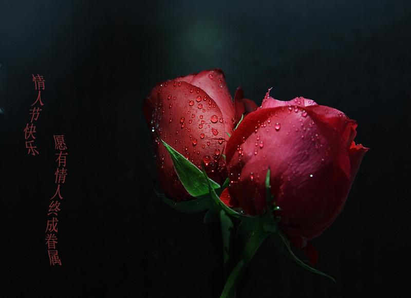 沒有情人的情人節，卻有鈦白粉