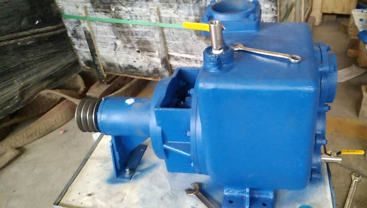 DJ 100 自吸污水泵