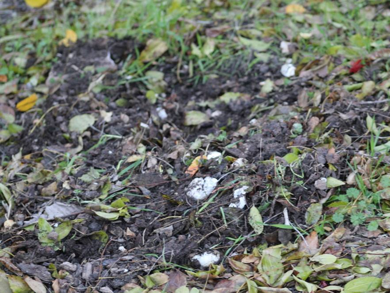 園林景觀設(shè)計(jì)施工