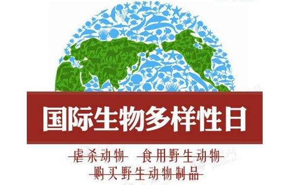 中效過(guò)濾器使用壽命