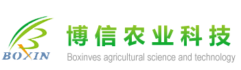 山東小麥種子廠家-淄博博信農業科技有限公司