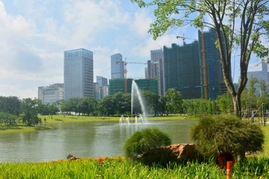 香蜜公園 香蜜公園
