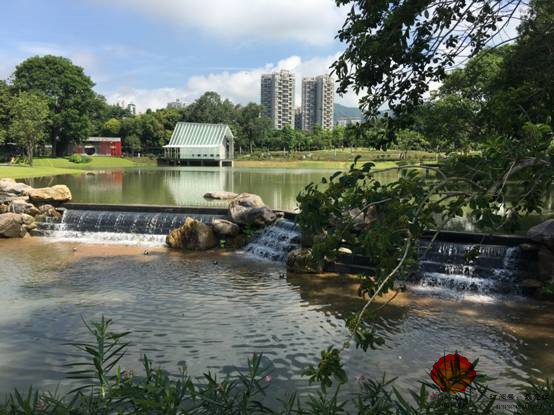 香蜜公園 香蜜公園