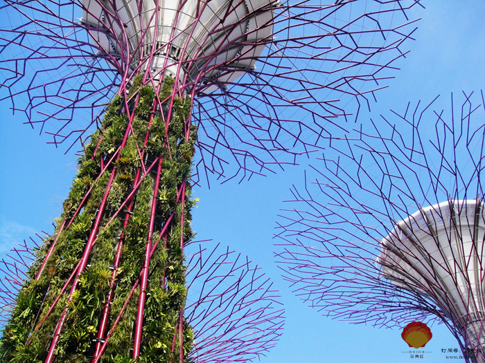 新加坡海灣花園