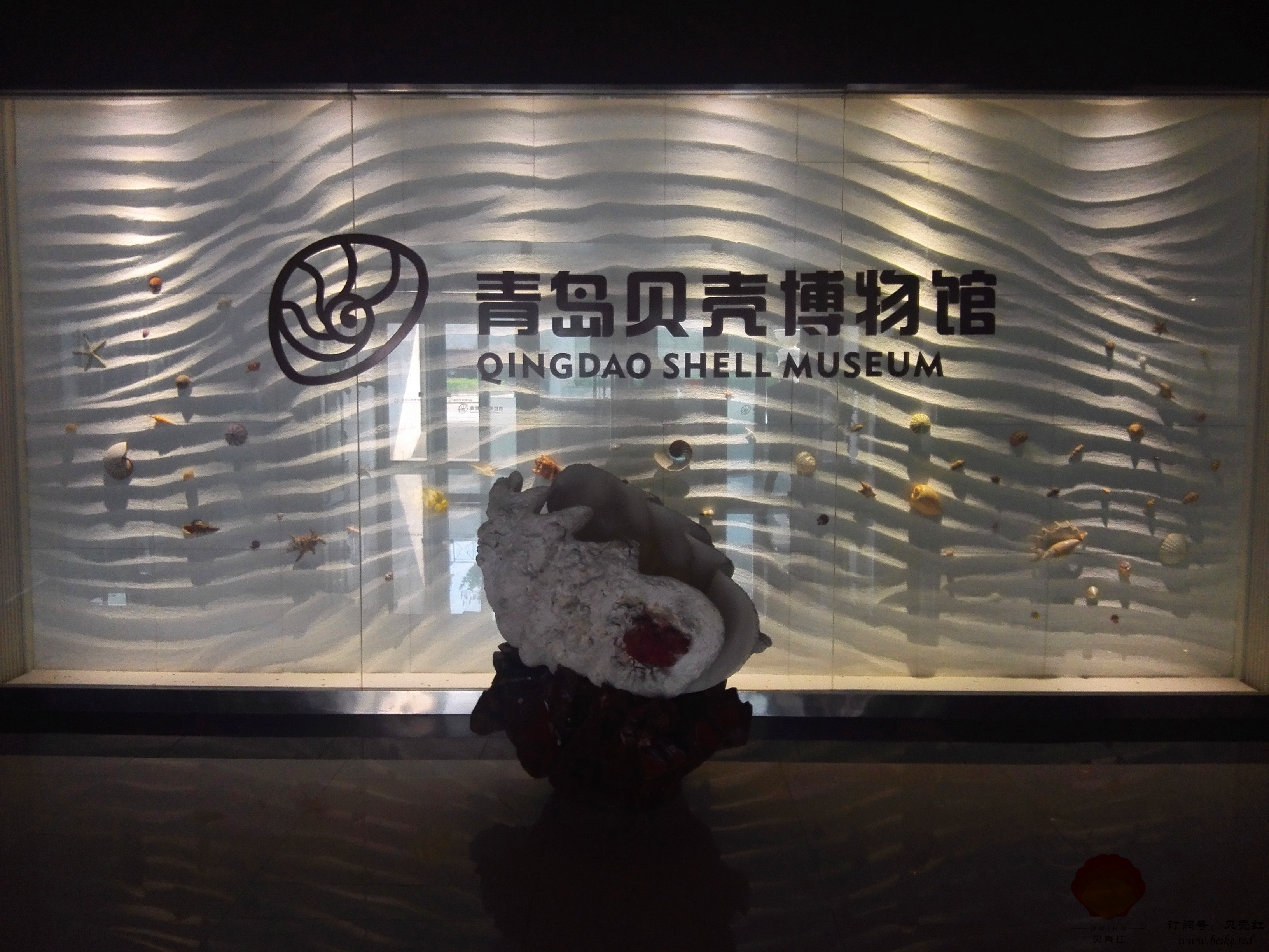 青島貝殼博物館 青島貝殼博物館