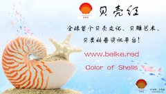 貝殼紅，亮相啦！