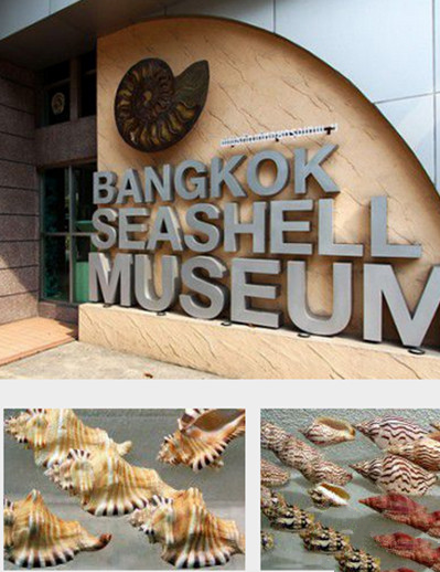 曼谷貝殼博物館