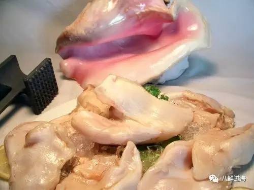 貝殼的做法,女王鳳凰螺不可食用的部分!