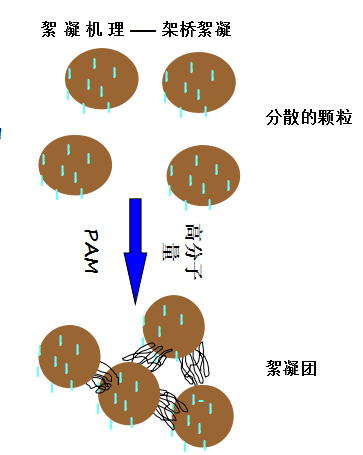 聚丙烯酰胺原理