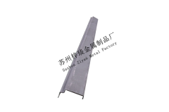 集裝箱底側梁/Bottom Side Rail