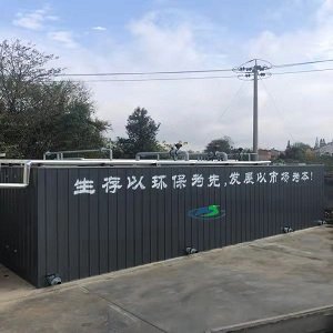 河道水治理案例二