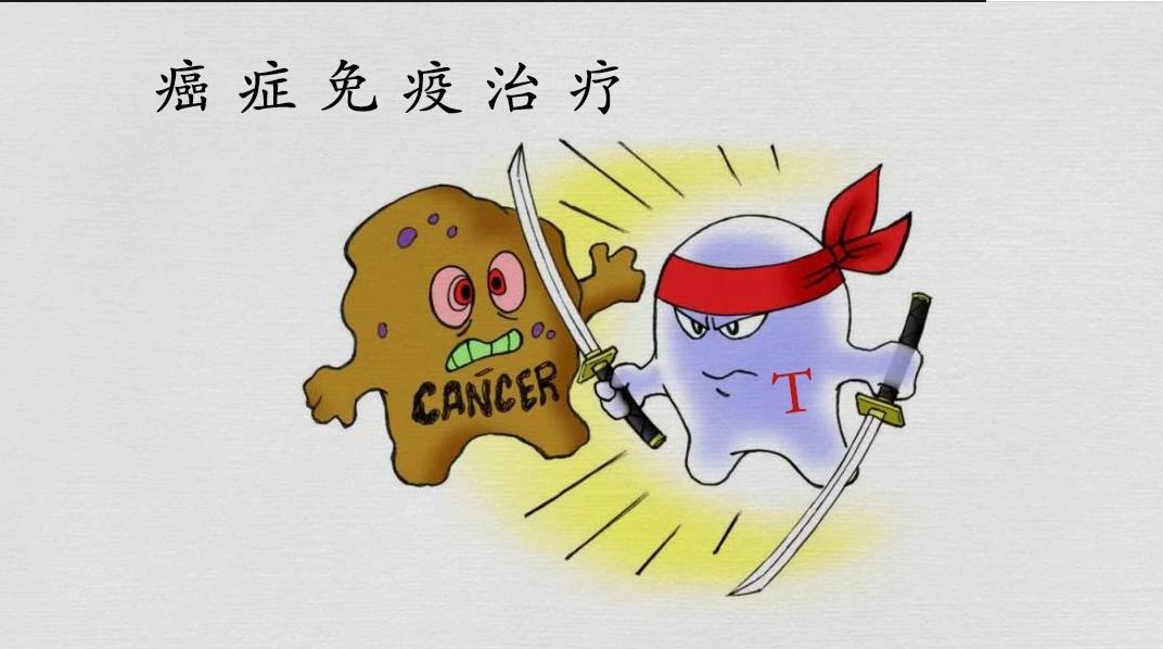 更有效,更精准,更安全——外显子捕获与CRISPR基因编辑在免疫治疗中的应用