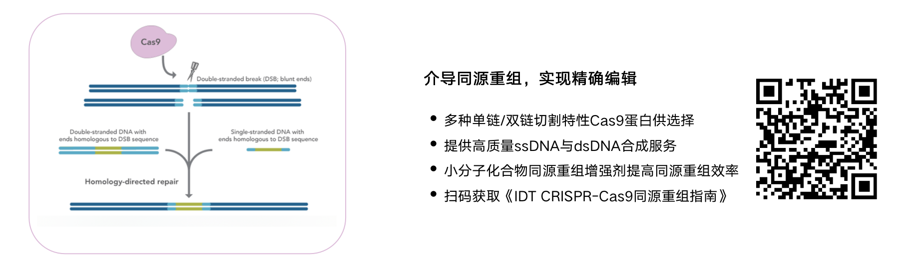 custom qpcr and dpcr pbes microsynth 2019 custom qpcr and dpcr pbes microsynth 2019