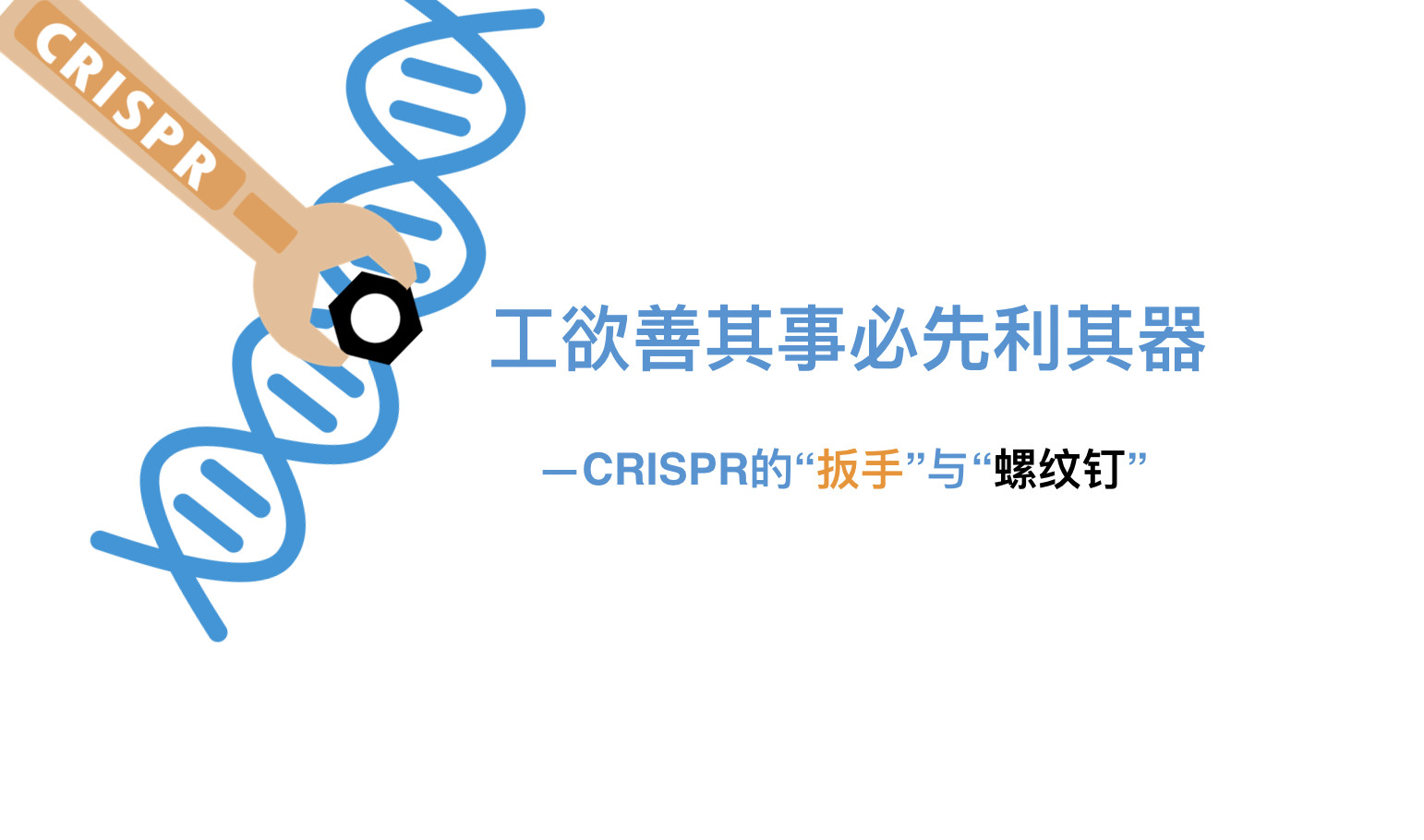 工欲善其事必先利其器—CRISPR的“扳手”与“螺纹钉”