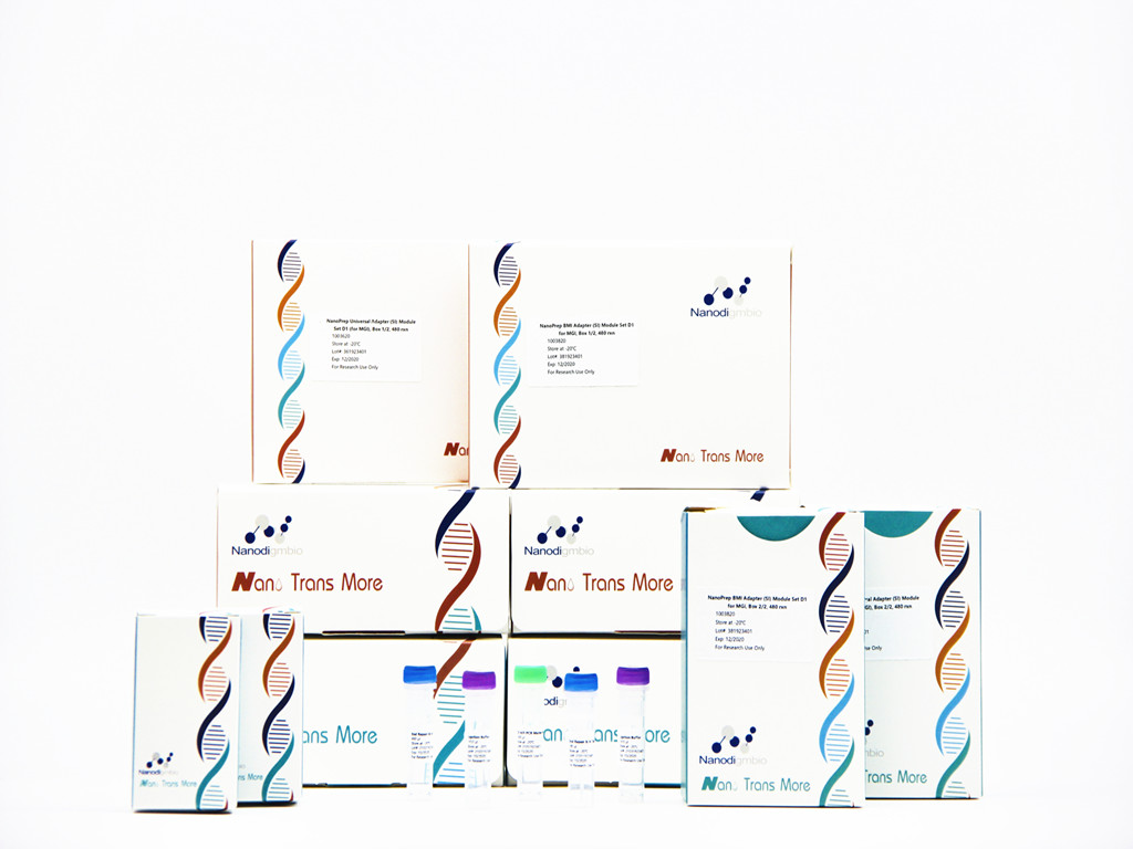 MGISEQ DNA文庫構建