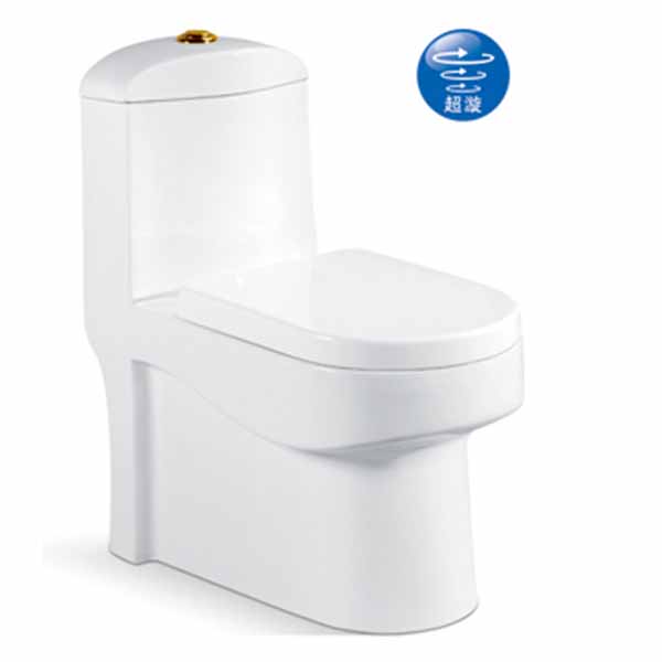6839 雙孔超漩式連體座便器