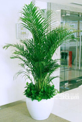 ºÍ¼Ç¹ÙÍø¡¤h88(Öйú)×îпͻ§¶ËÏÂÔØ