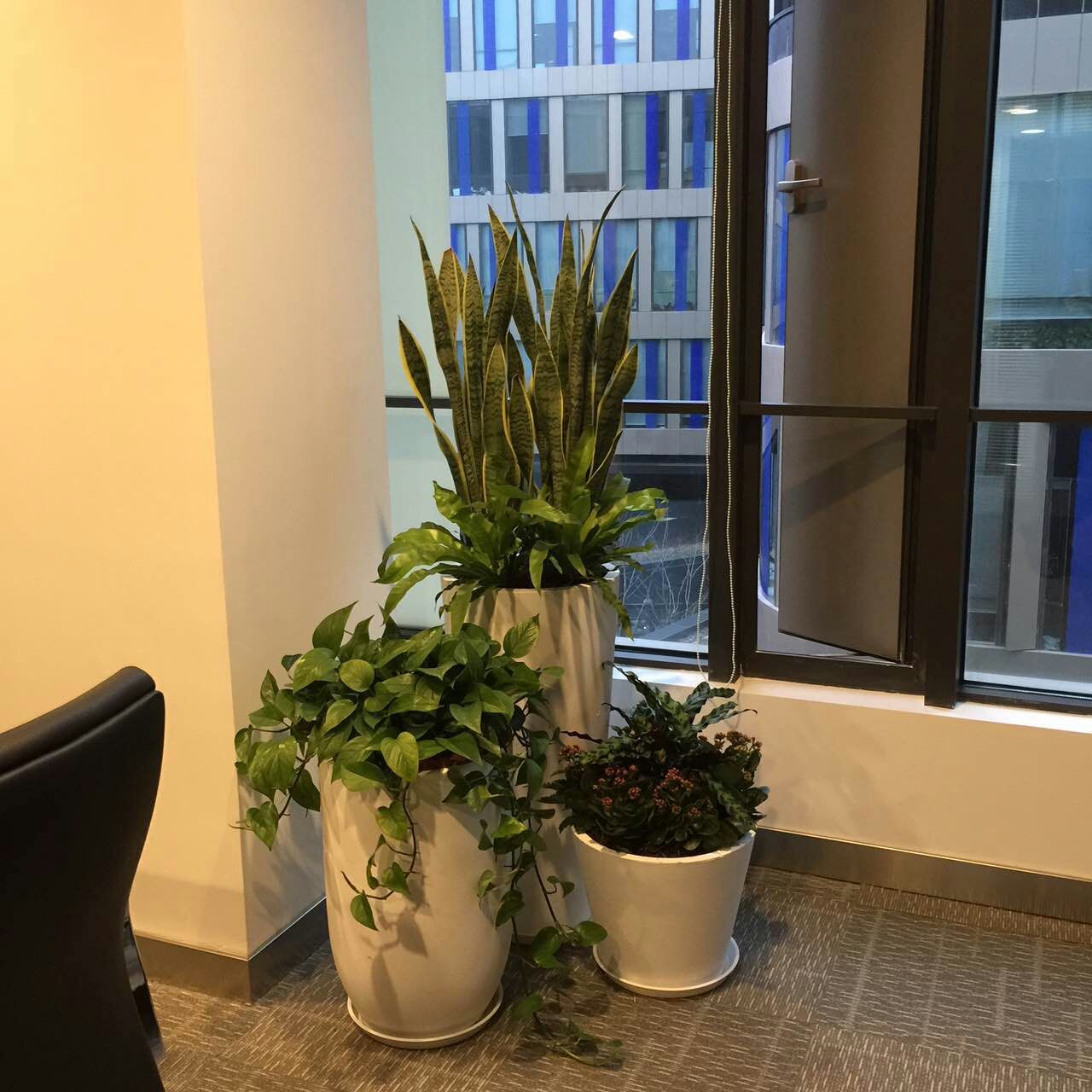 ºÍ¼Ç¹ÙÍø¡¤h88(Öйú)×îпͻ§¶ËÏÂÔØ