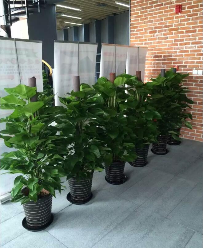 ºÍ¼Ç¹ÙÍø¡¤h88(Öйú)×îпͻ§¶ËÏÂÔØ