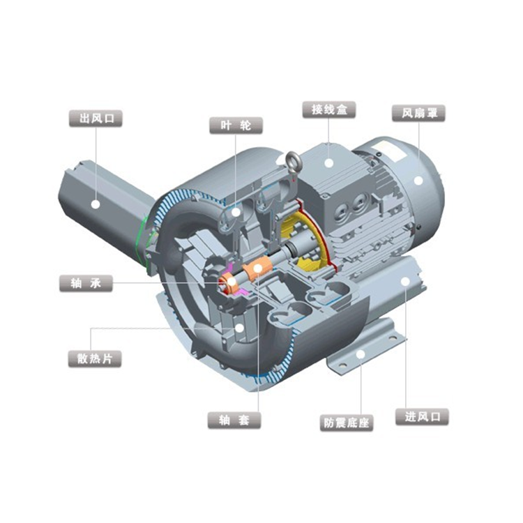 漩涡气泵的结构