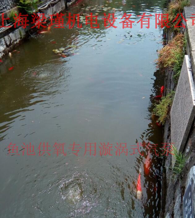 水產(chǎn)養(yǎng)殖**高壓風(fēng)機(jī)案例