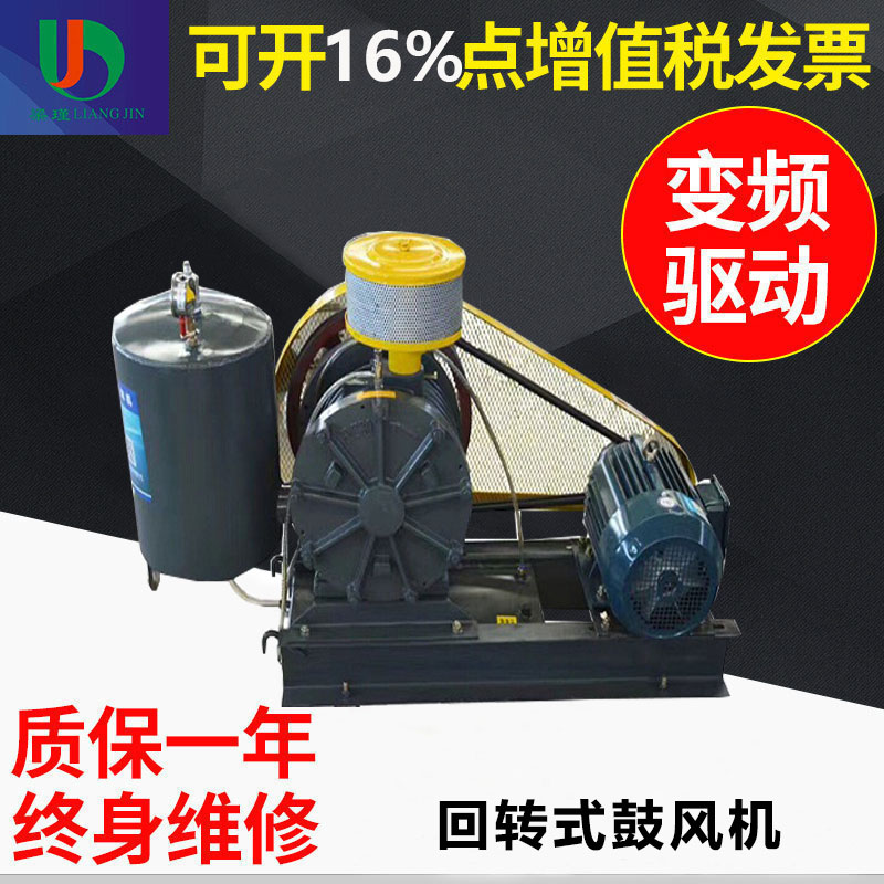 回轉(zhuǎn)式鼓風(fēng)機(jī)廠家