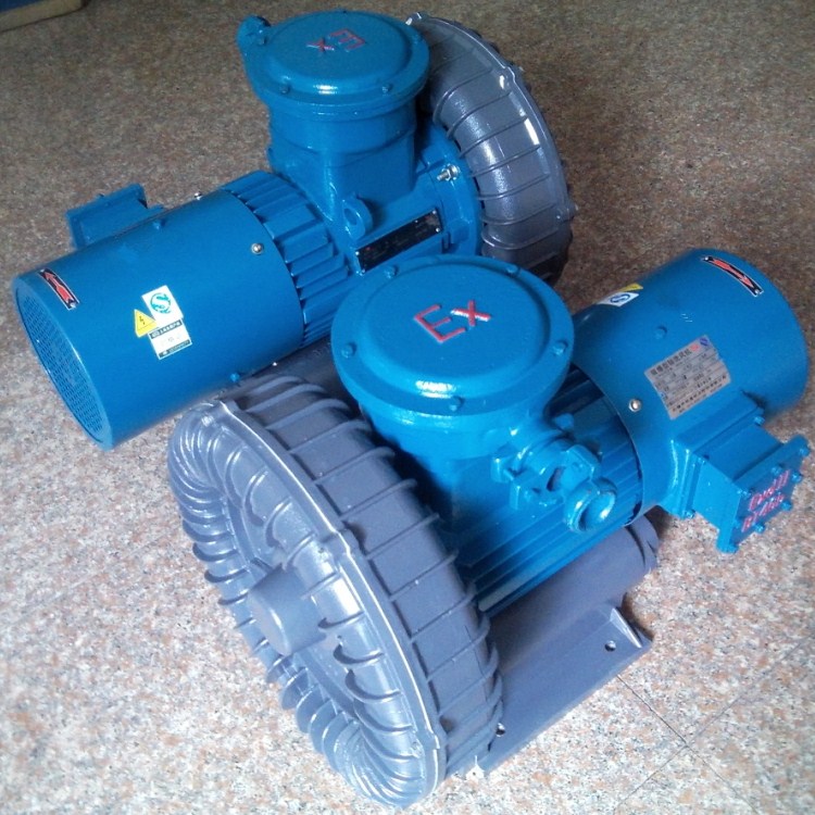 變頻防爆鼓風(fēng)機 變頻防爆鼓風(fēng)機