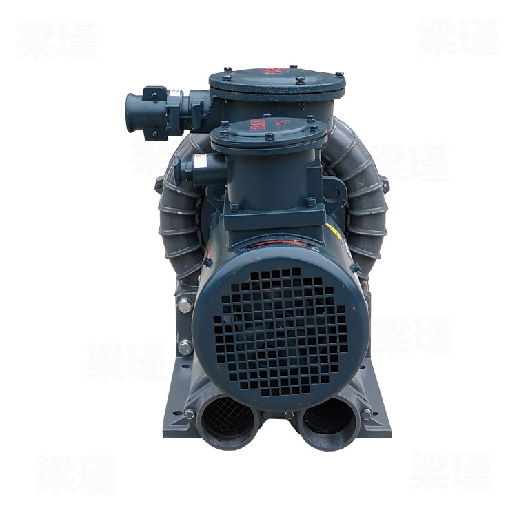 高壓防爆鼓風(fēng)機 高壓防爆鼓風(fēng)機