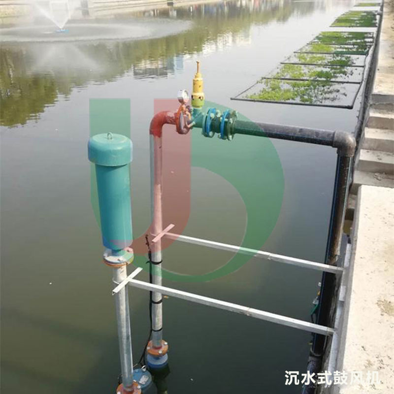 沉水式鼓風機應(yīng)用案例 沉水式鼓風機應(yīng)用案例