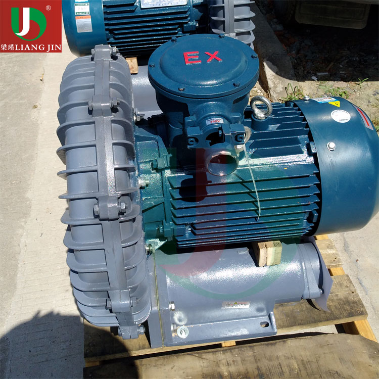 工業(yè)石油化工配套環(huán)形防爆鼓風(fēng)機(jī)