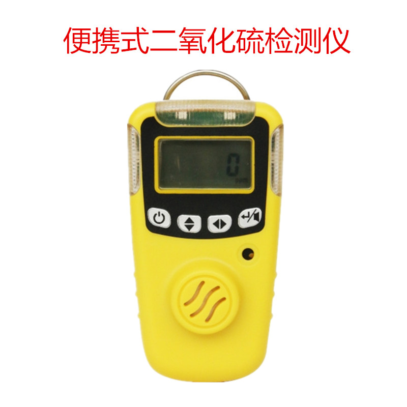 便攜式二氧化硫氣體檢測儀