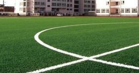 百慕大草坪 百慕大草坪