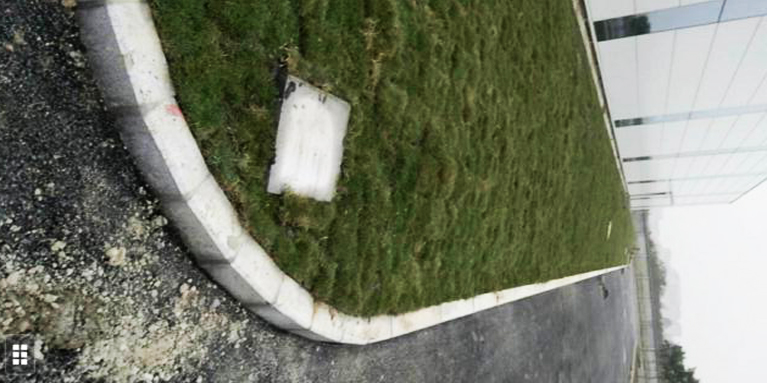 百慕大草坪 百慕大草坪