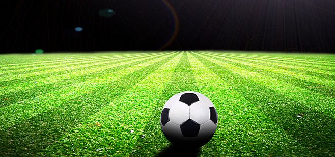 成都悠時光園藝種植有限公司 成都悠時光園藝種植有限公司