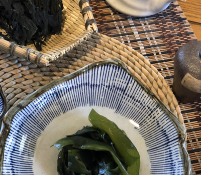 裙帶菜 裙帶菜