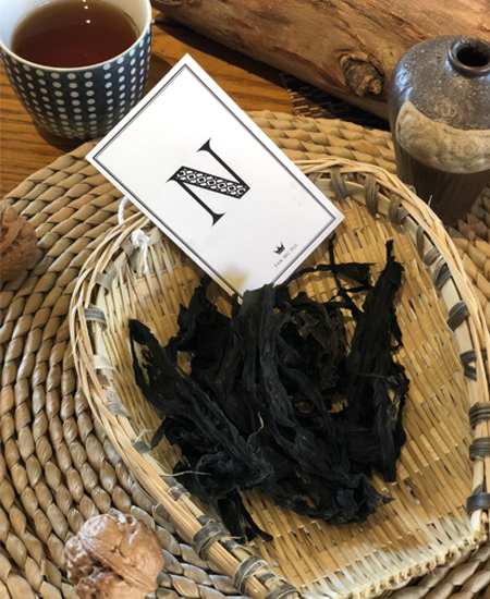 裙帶菜 裙帶菜